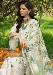 Timeless Digital Charm – Graceful Prints with Organza Embroidery