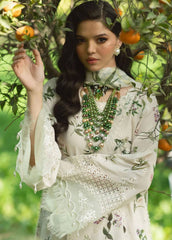 Timeless Digital Charm – Graceful Prints with Organza Embroidery